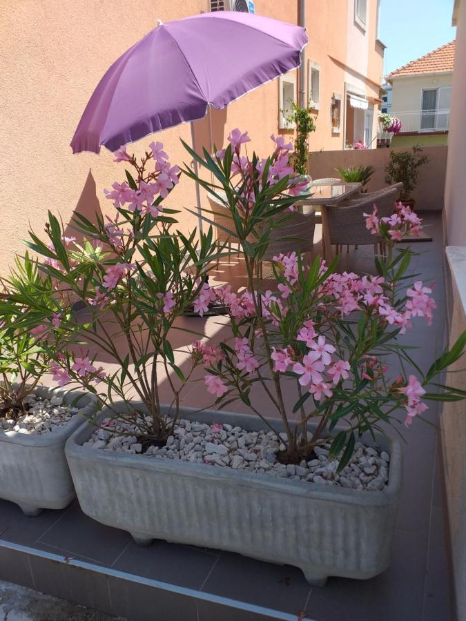 Apartment Yelena Rose West Задар Екстериор снимка