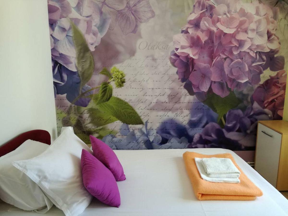 Apartment Yelena Rose West Задар Екстериор снимка