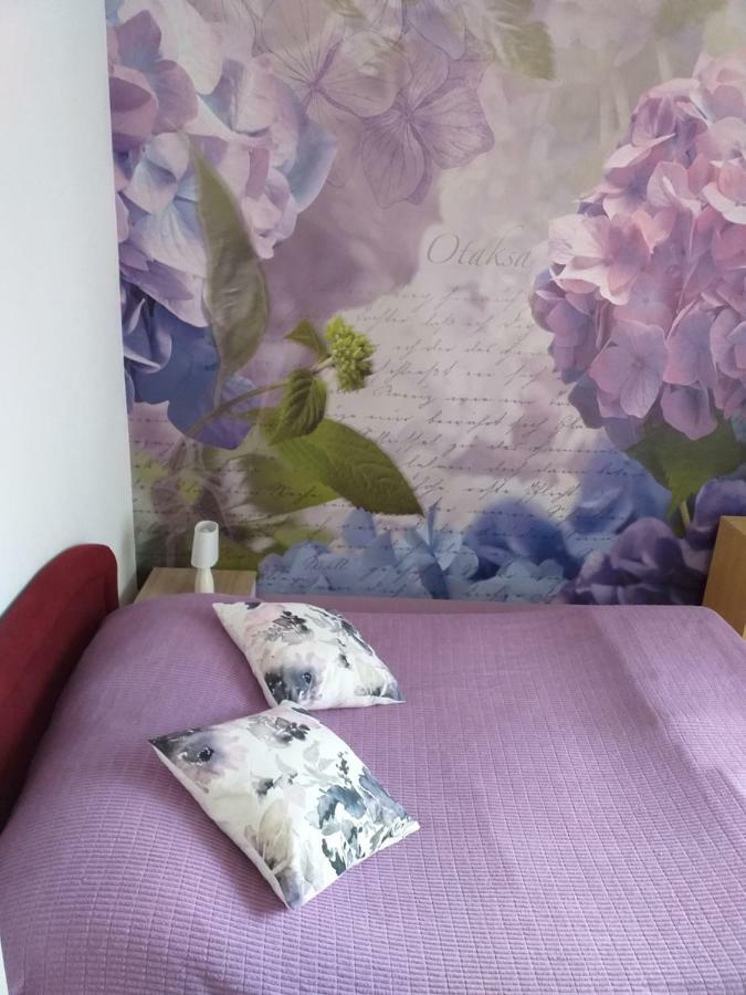 Apartment Yelena Rose West Задар Екстериор снимка
